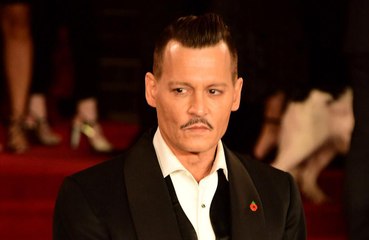 Johnny Depp 'felt bad' for JK Rowling amid casting controversy