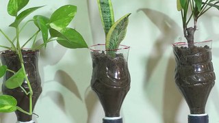 Self Watering System for Plants