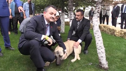 Bakan Pakdemirli: 'Vatandaşlara tavsiyem ambalajlı ürün tüketsinler' - MALATYA