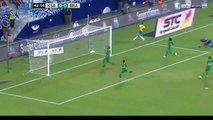 Gabriel Jesus Goal - Saudi Arabia vs Brazil 0-1 12/10/2018