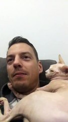 My Cat Loves Me, He Loves Me Not