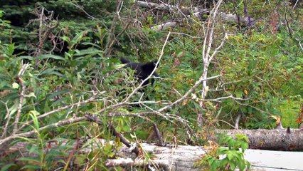 Top 10 Archive - Countdown-List Video 01