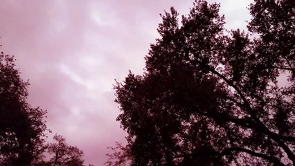 Sky Turns Neon Pink After Hurricane Michael