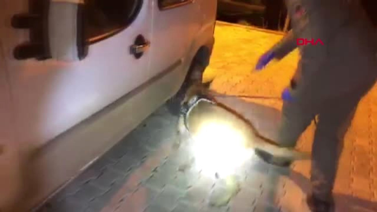 Van'da Durdurulan Otomobilde 52 Kilo 'Eroin' Ele Geçirildi