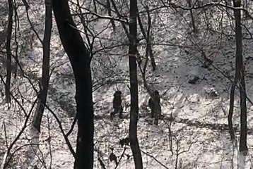 온라인카지노사이트, 무료슬롯게임♥ V F V 7 쩜 C오M♥ 인터넷카지노주소