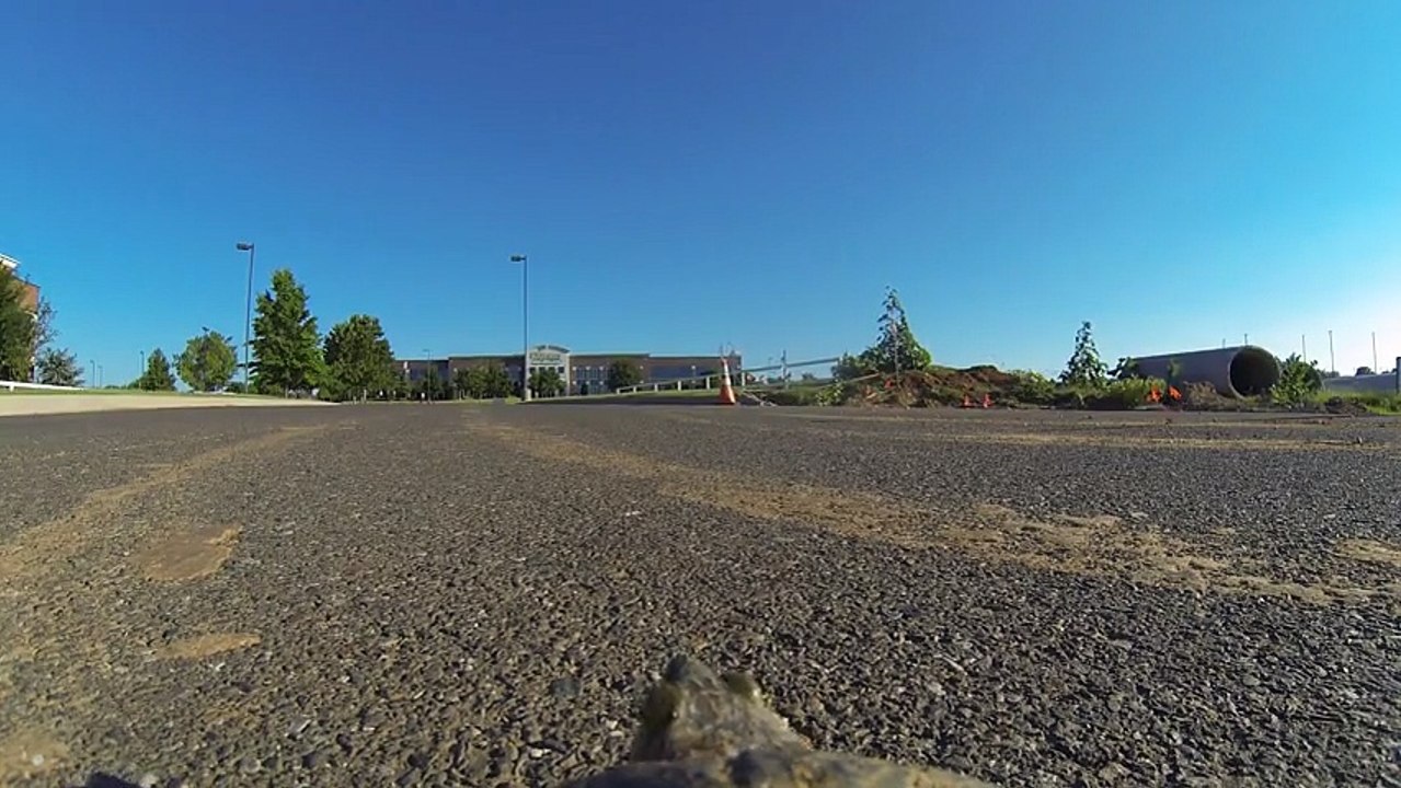 GoPro strapped to the top of a turtle