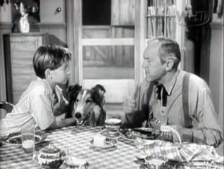 Lassie  S01e05  Mr Peabody