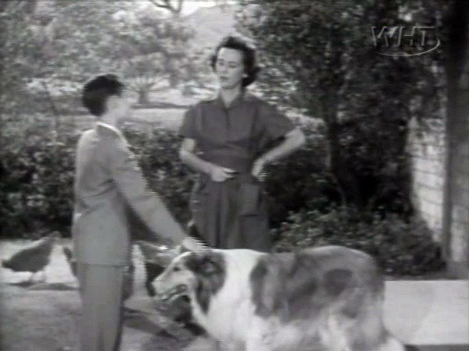 Lassie  03x31  The Snob