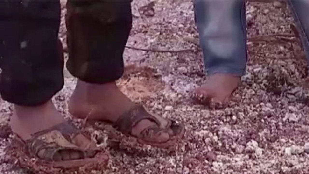 Día internacional de Niños Víctimas Inocentes de Agresión