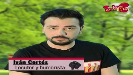 ¿Tu perro se ha metido alguna vez en una pelea?