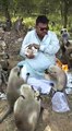 This is a man with chipatis for the monkeys. It is like feeding the birds but to a completly new level. A fantastic video!
