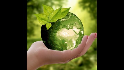 ¿Por qué celebramos el Día de la Tierra?