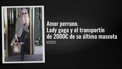 amor perruno lady gaga y el transportin de 2000euros de su ultima mascota