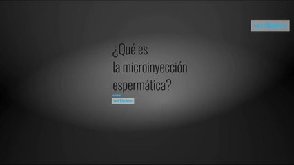 ¿Qué es la fecundación por ISCI?