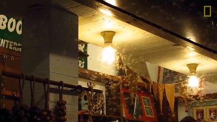 Why Moths are Obsessed with Lamps National Geographic