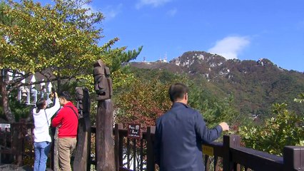 파란 하늘 아래 가을 정취 '만끽'...남부지방도 단풍 시작 / YTN