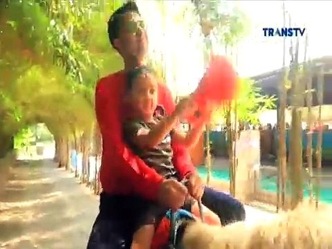 Rafathar Tugas Foto Hewan 131018 Part 3