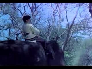 Main Jahan Chala Jaoon Bahar Chali Aaye