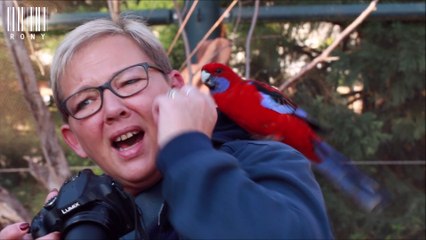Les risques du métier de photographe animalier en parc zoologique mdr