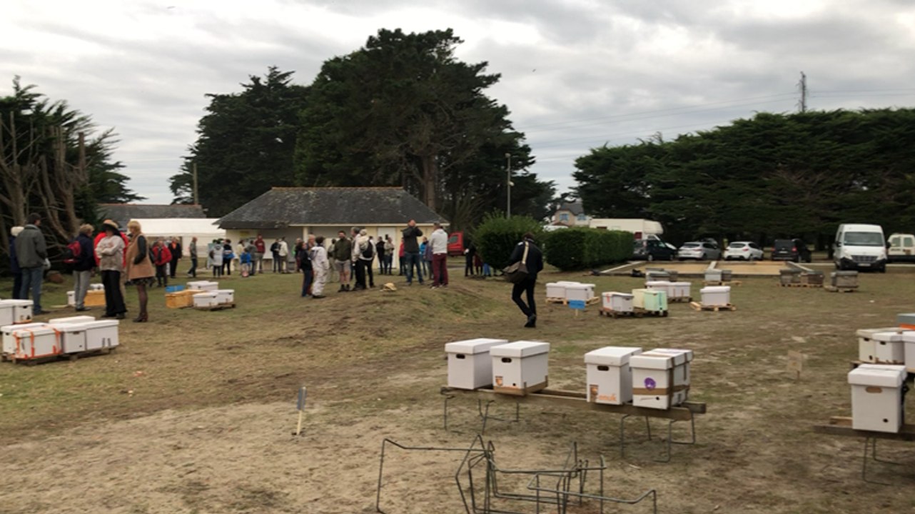 Transhumance de la solidarité des apiculteurs