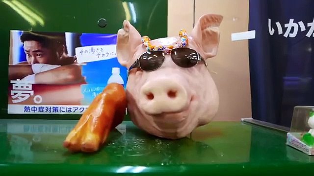 BLACK PORK & TIGER PRAWN Japanese Teppanyaki Okinawa Japan