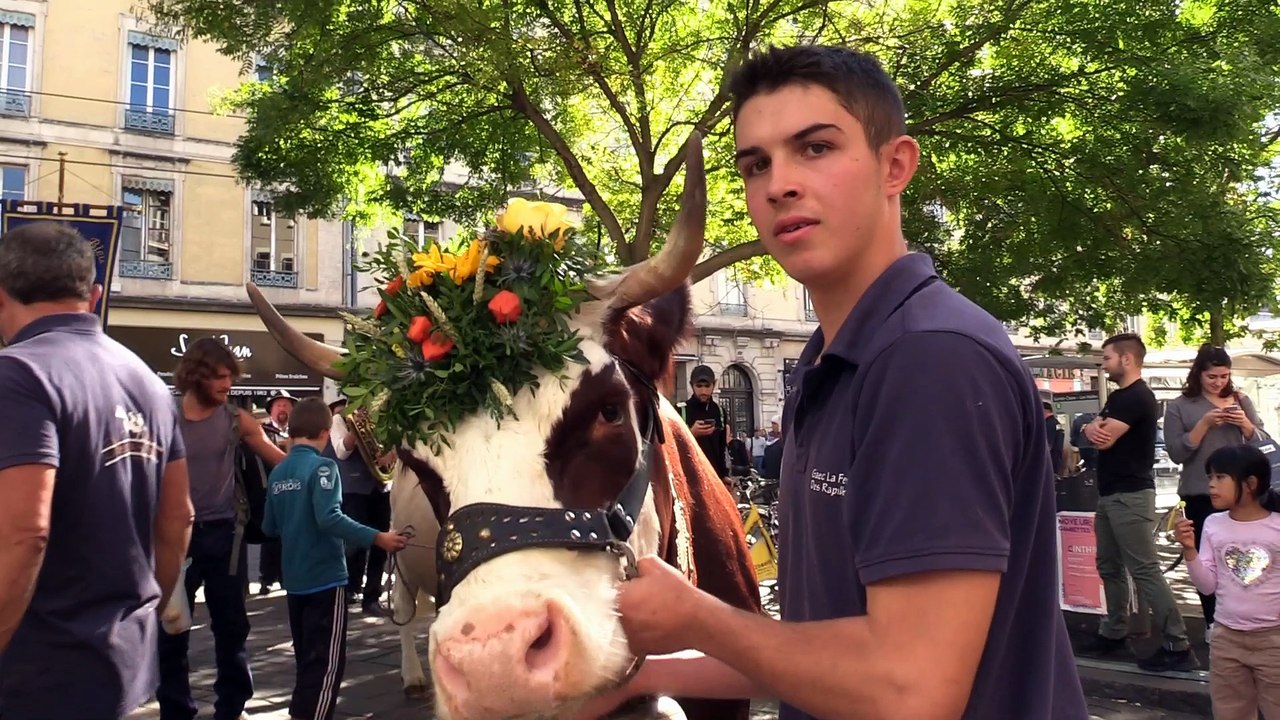 La descente des Alpes dans le centre-ville de Grenoble