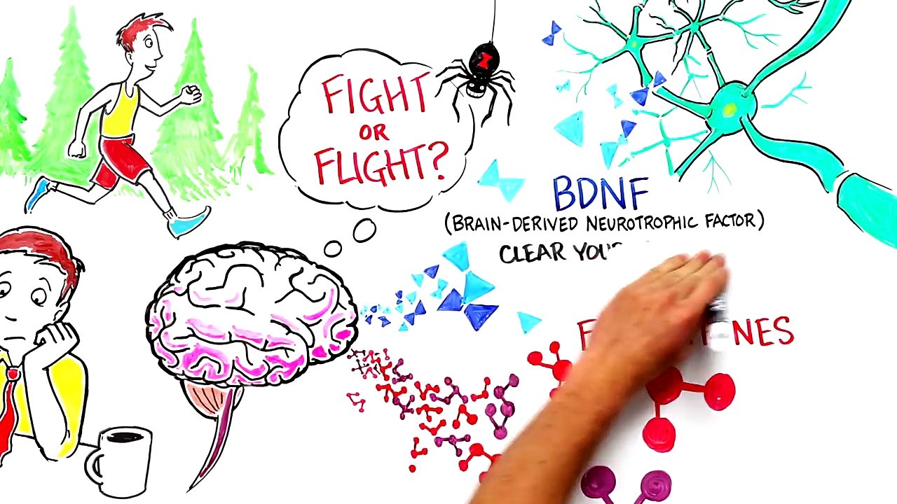 Morning Exercise for Mental Health