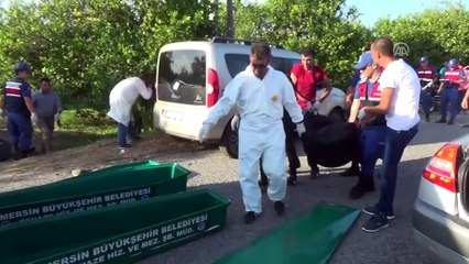 Mersin'de trafik kazası: 2 ölü, 1 yaralı