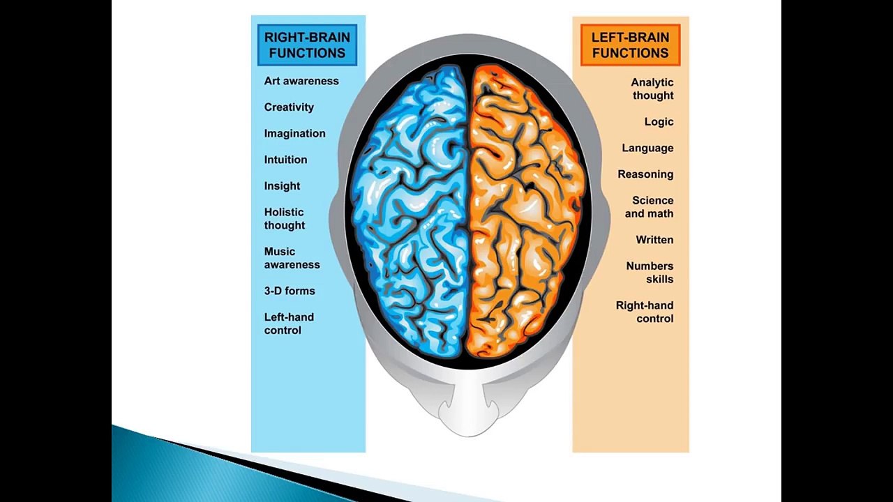 Right and Left Brain Workouts