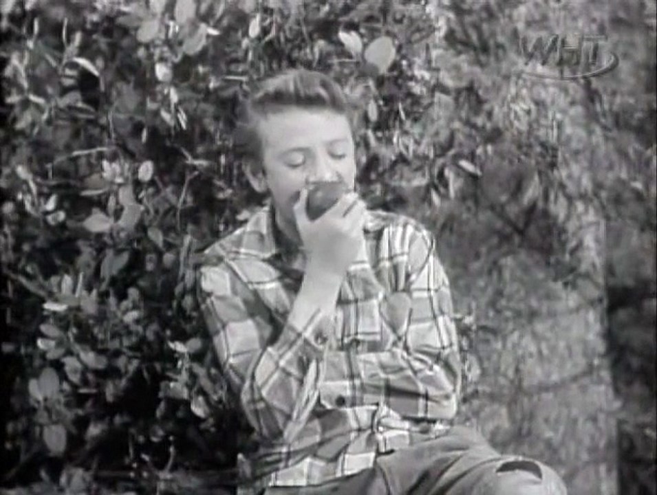 Lassie  S01e22  The Cave