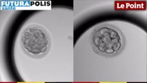 Futurapolis Santé 2018 : l’embryon comme vous ne l’avez jamais vu !