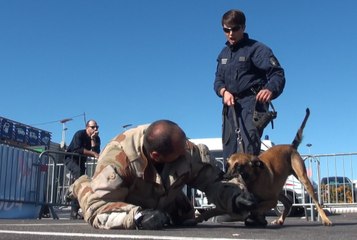 Unité canine: l'équivalent "d'un boxeur professionnel"'