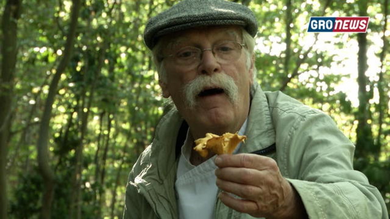 La campagne Grolandaise - Groland Le Zapoï du 13/10 - Vidéo Dailymotion