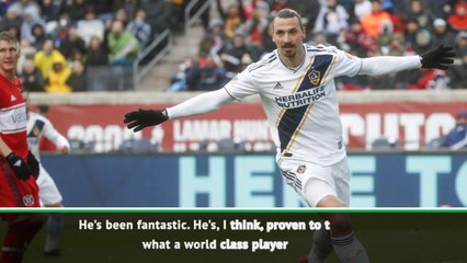 'Fantastic' Ibrahimovic is good enough for Milan return - Nash
