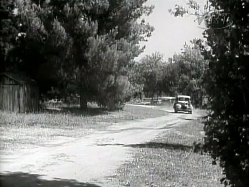 Lassie  03x10  Gossip