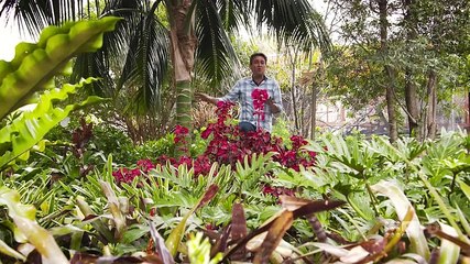 The Garden Gurus S25E08