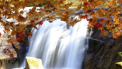 [영상] 방태산 폭포 속 가을 / YTN