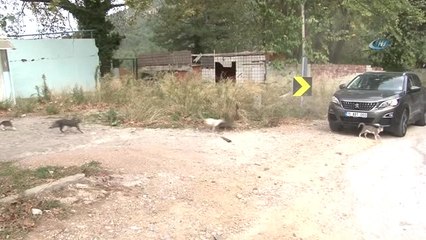 Birçok Kişi Öldürmeye, O Yaşatmaya Çalışıyor.