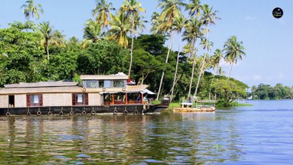 Top 10 Places To Visit In Kerala