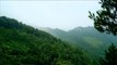 هذا الصباح- مسن صيني يزرع آلاف الأشجار لحماية الغابات