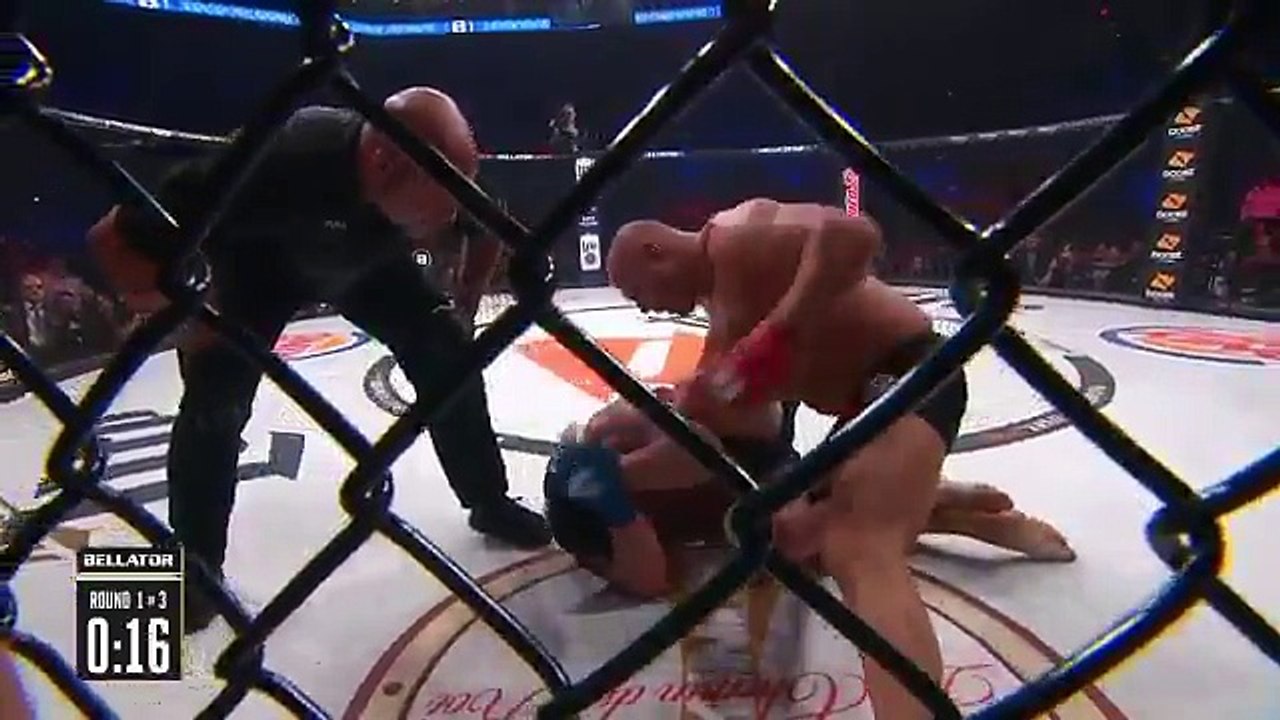 Fedor brutal knockout