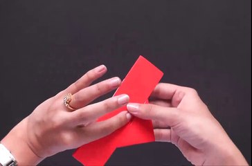 Origami - Fun and Simple Heart with Wings(1)