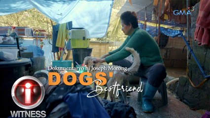 I-Witness: 'Dogs' Best Friend,' dokumentaryo ni Joseph Morong (full episode)