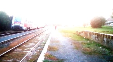 Velke Zaluzie bazantnica