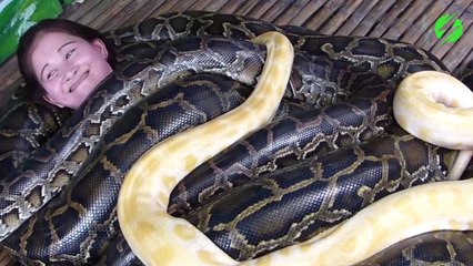 Connaissez-vous le modelage au serpents... Pas très relaxant