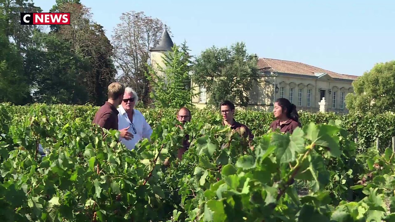 Des vignes comme salle de classe