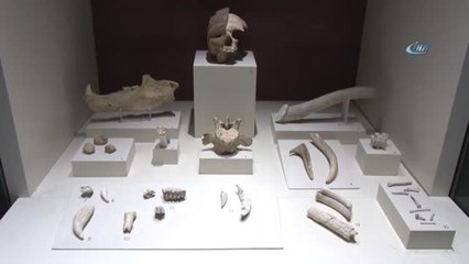 Anadolu Medeniyetler Müzesi'nde Tarihin İlkleri Sergileniyor