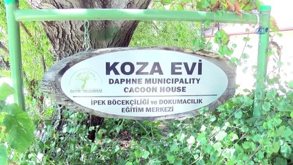 İpek dokumacılığı koza evinde yaşatılıyor