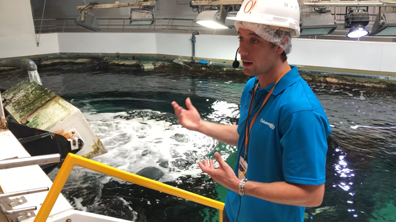 Brest. À Océanopolis, suivez le circuit orange