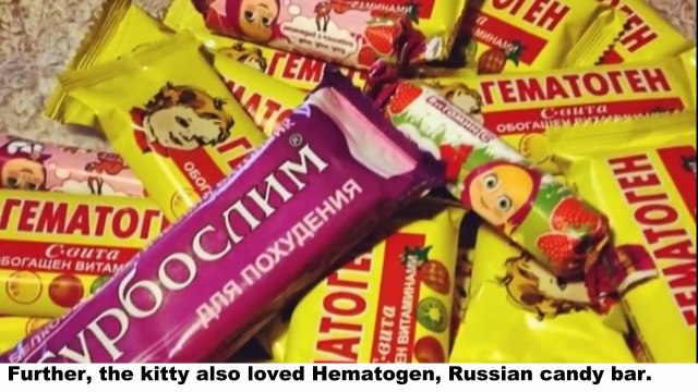 Teen Girl Adopts A Kitten – She Notices A Baffling Twist As She Begins To Grow